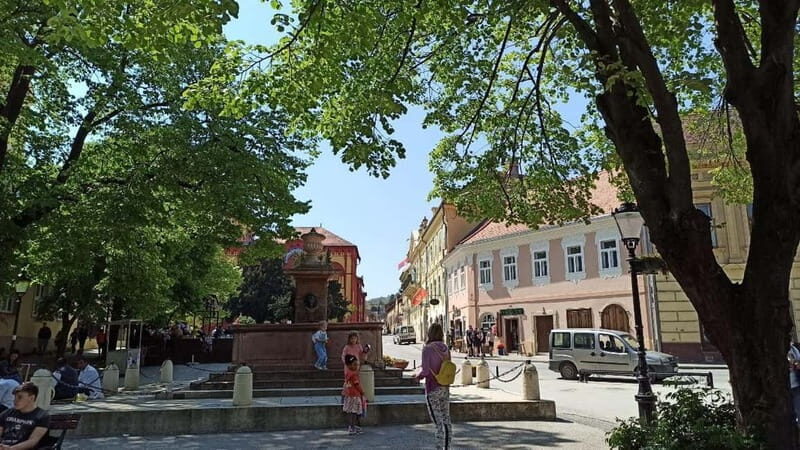 From Belgrade: Novi Sad and Sremski Karlovci Tour - Authenticity and Value