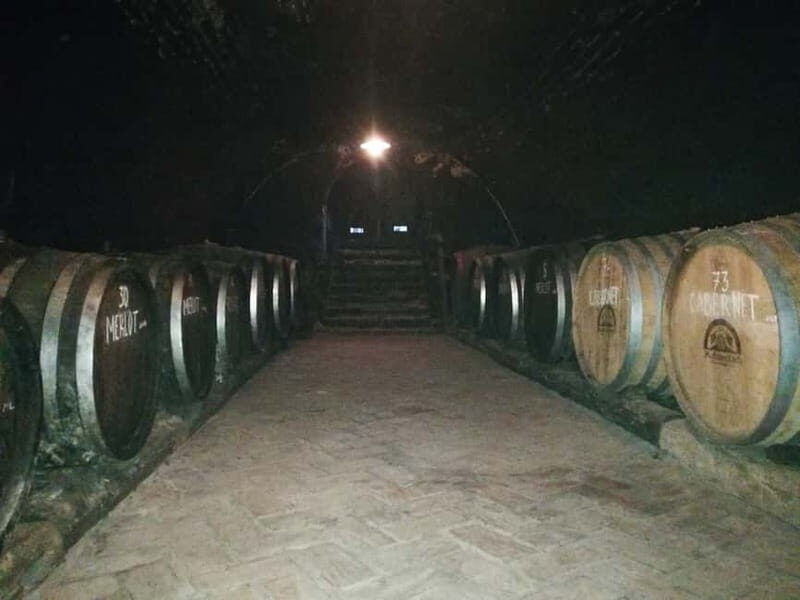 From Belgrade: Novi Sad & Fruska gora & winery and monastery - The Charm of Sremski Karlovci