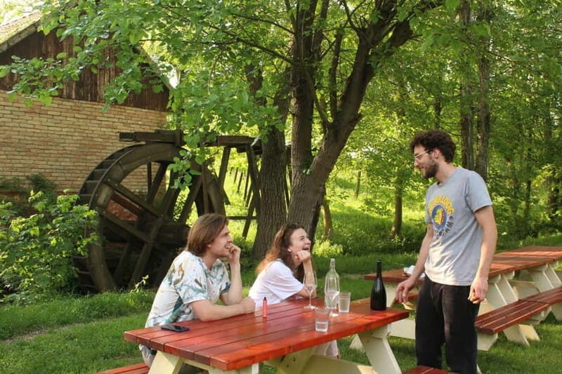 From Belgrade or Novi Sad: Private Wine Tour in Fruska Gora - Why This Tour Will Probably Be Your Favorite