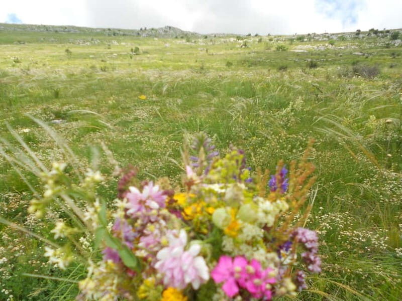 From Belgrade: Rtanj Mountain Hike Day Trip with Guide - Key Points