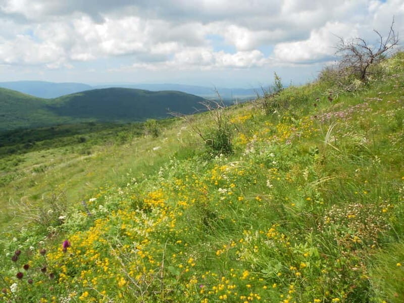 From Belgrade: Rtanj Mountain Hike Day Trip with Guide - Authentic Insights from Past Travelers