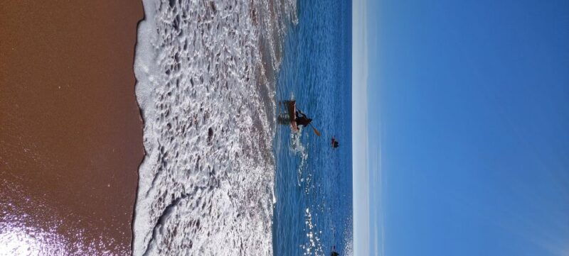 from-benagil-benagil-caves-kayak-tour