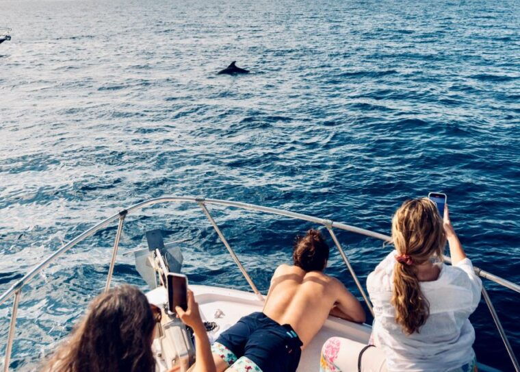 from-benalmadena-torremolinos-dolphin-watch-boat-trip