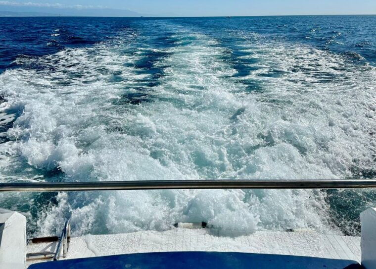 from-benalmadena-torremolinos-dolphin-watch-boat-trip