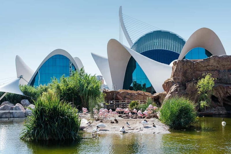 From Benidorm, Albir, Altea & Calpe: Valencia Day Trip - What to Pack and What to Expect