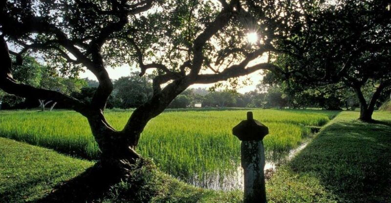 from-bentota-beruwala-lunuganga-brief-garden-marvels-tour