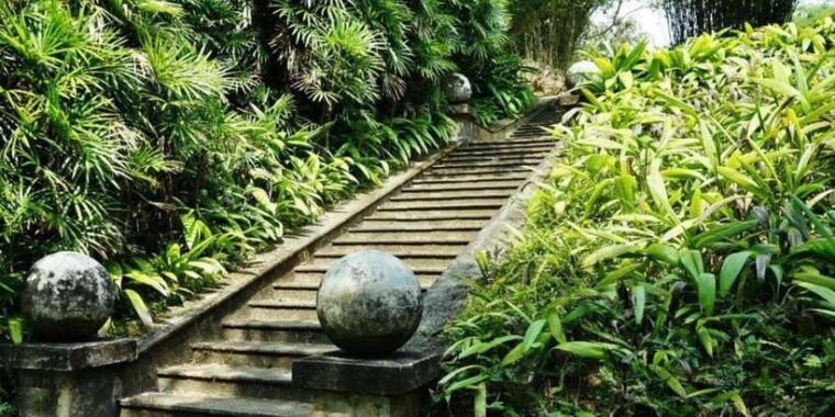 from-bentota-beruwala-lunuganga-brief-garden-marvels-tour