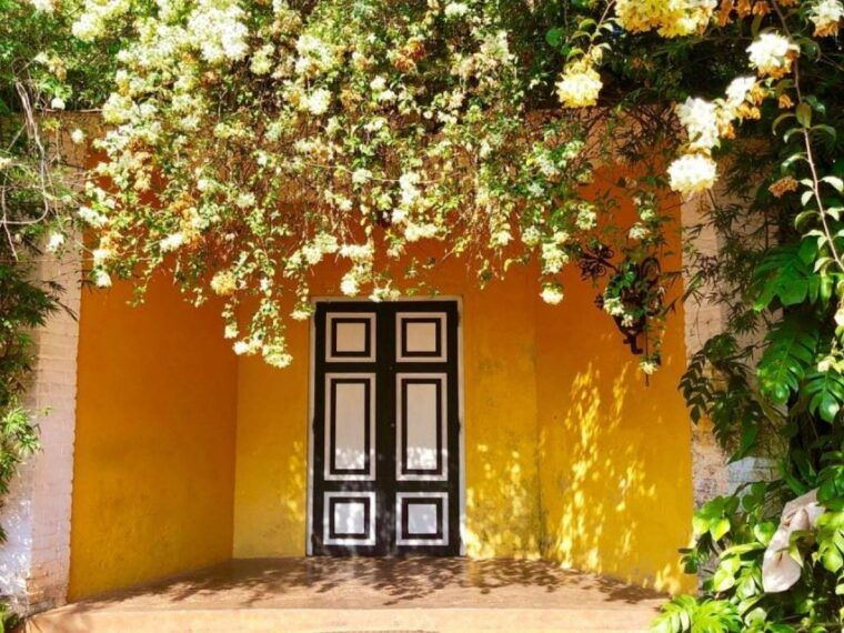 from-bentota-beruwala-lunuganga-brief-garden-marvels-tour