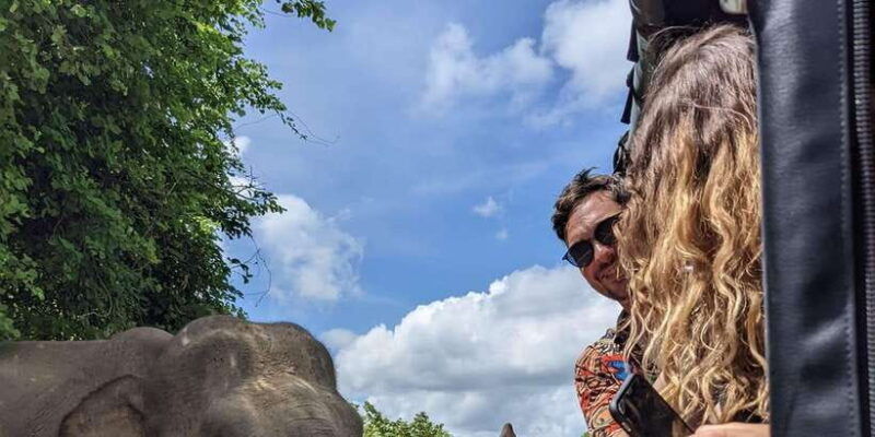 from-bentota-kalutara-yala-national-park-safari-jeep-tour