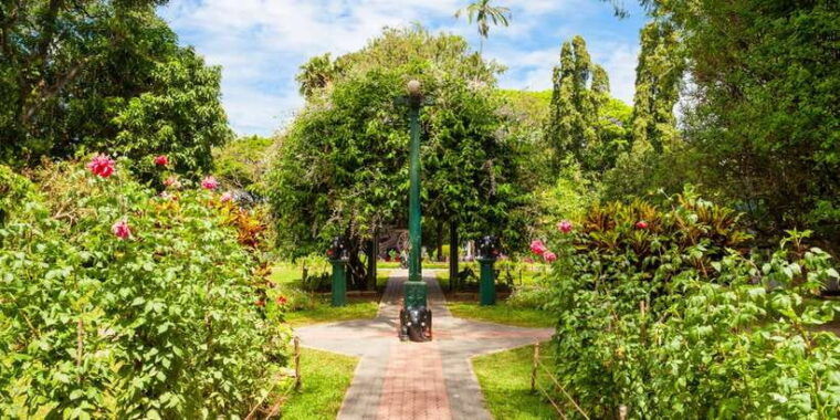 from-bentota-kandy-tour-with-tooth-temple-gardens-visit