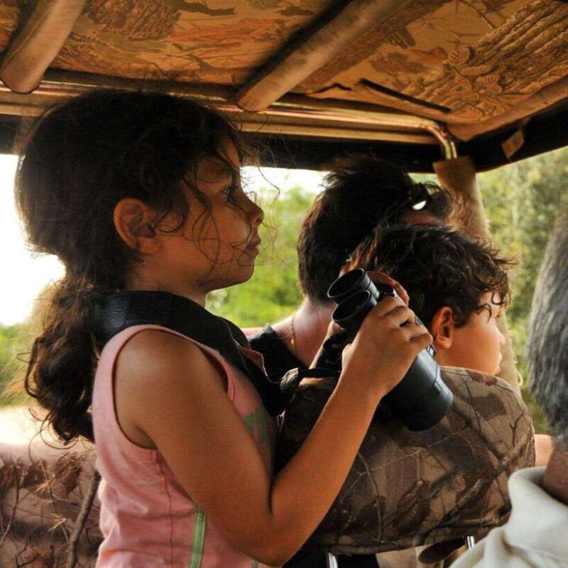 from-bentota-yala-national-park-full-day-safari-tour