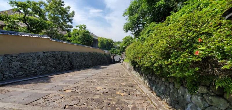 From Beppu: Kitsuki Castle Town and Cultural Experience - The Practical Side: What to Expect