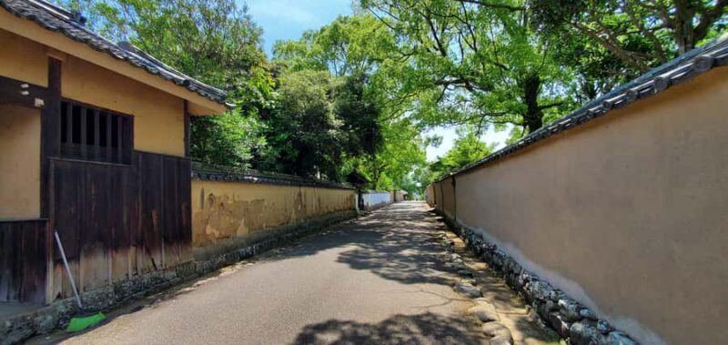 From Beppu: Kitsuki Castle Town and Cultural Experience - Why This Tour Works Well