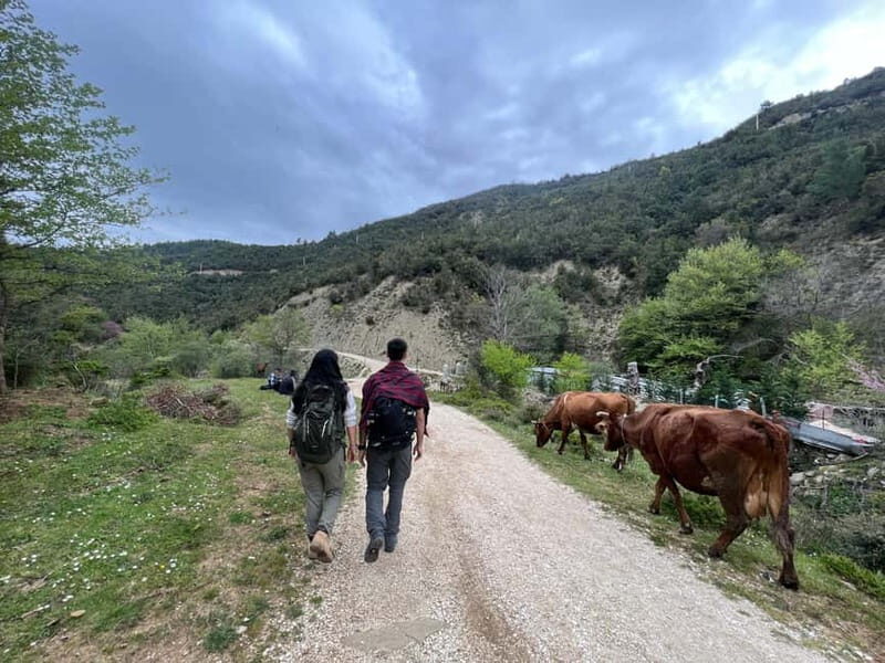 From Berat: Osumi Canyon, Bogova Waterfall, and Pirro Goshi - Exploring Albania’s Natural Wonders: A Full-Day Tour from Berat