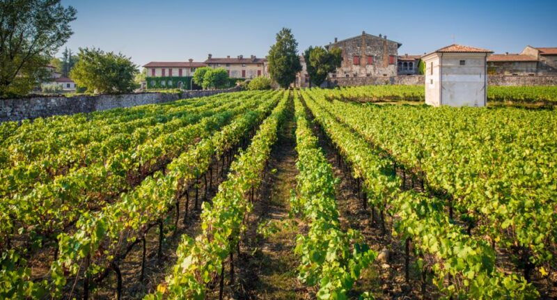 from-bergamo-winery-tour-in-franciacorta-with-lunch