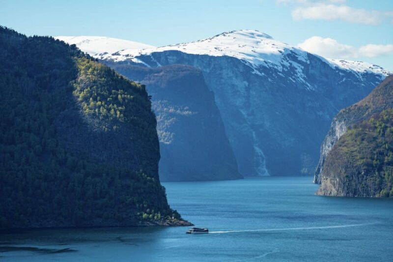 from-bergen-day-trip-with-flam-railway-and-fjord-cruise