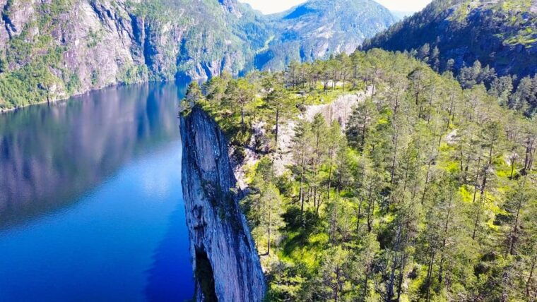 from-bergen-fjord-cruise-guided-mountain-hike