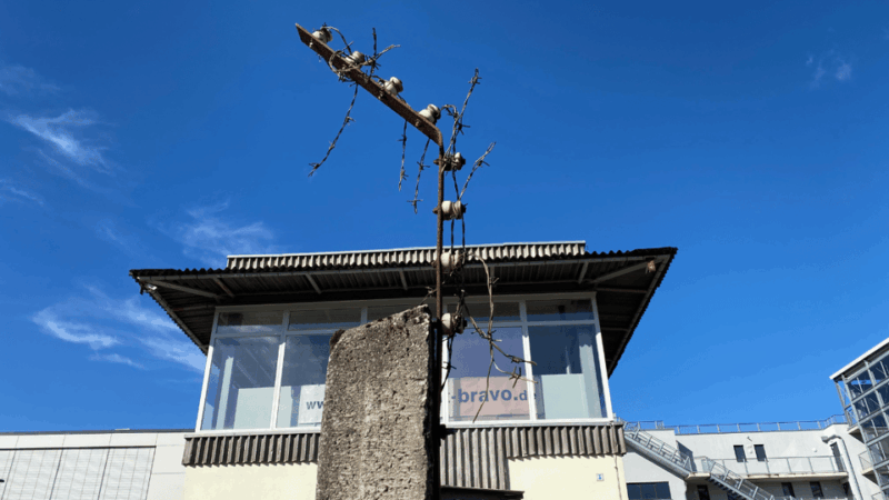 from-berlin-kings-crimes-spies-potsdam-day-trip-by-van