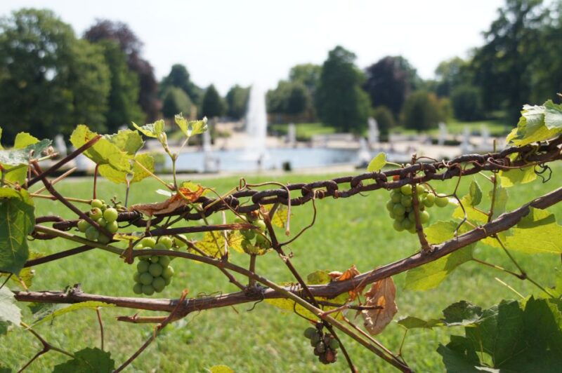 from-berlin-potsdam-half-day-tour-in-spanish