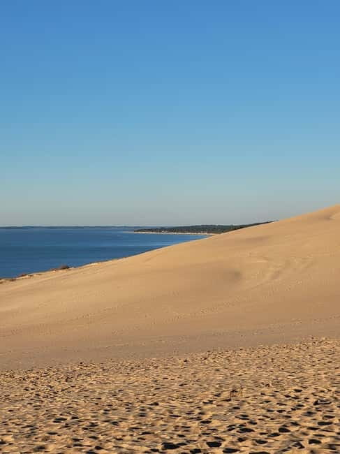 From Biarritz: Dune du Pilat and Arcachon Bay - 100% Private - A Complete Review of the From Biarritz: Dune du Pilat and Arcachon Bay Private Tour