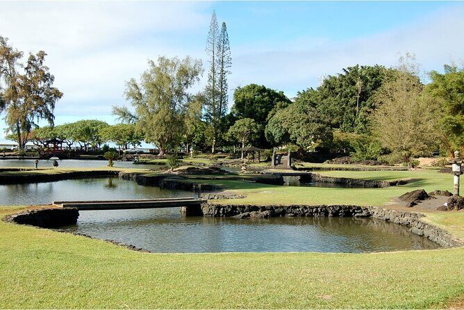 From Big island Hilo Private Shore Excursion and Waterfalls Tour - Unpacking the Itinerary: What to Expect