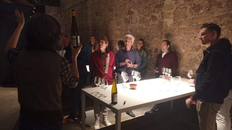 from-bilbao-la-rioja-wineries-day-trip-with-wine-tastings