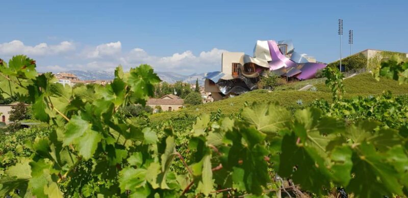 From Bilbao: Private Winery Tour with Wine Tasting & Lunch - Discovering La Rioja: A Private Winery Tour from Bilbao