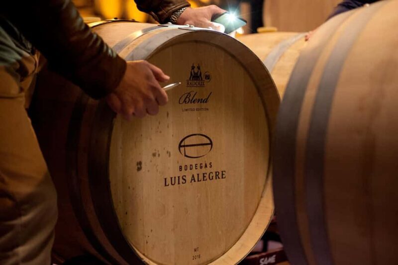 From Bilbao: Private Winery Tour with Wine Tasting & Lunch - Key Points