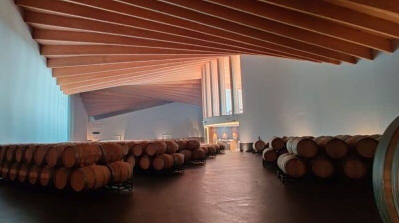 from-bilbao-rioja-architecture-and-wine-tour