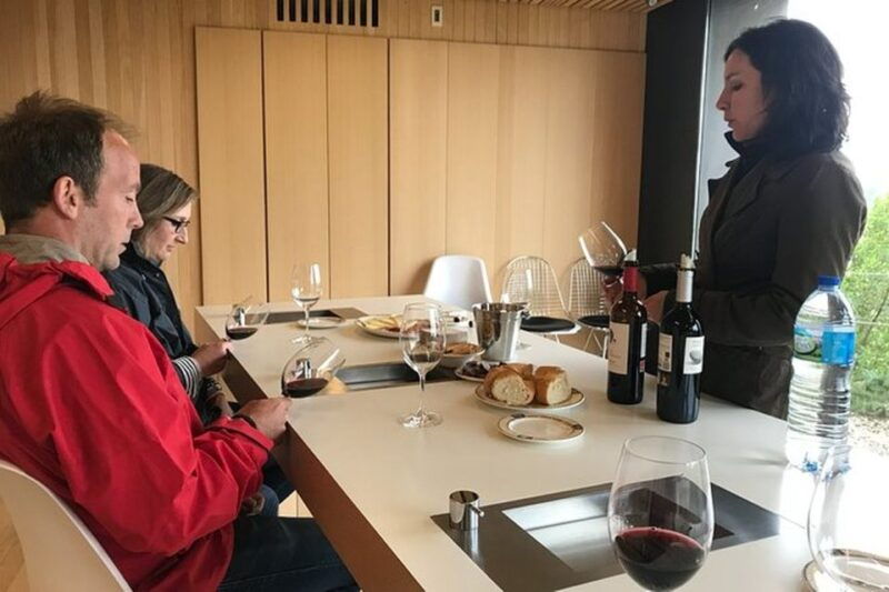 from-bilbao-two-rioja-wineries-day-trip-with-picnic-lunch
