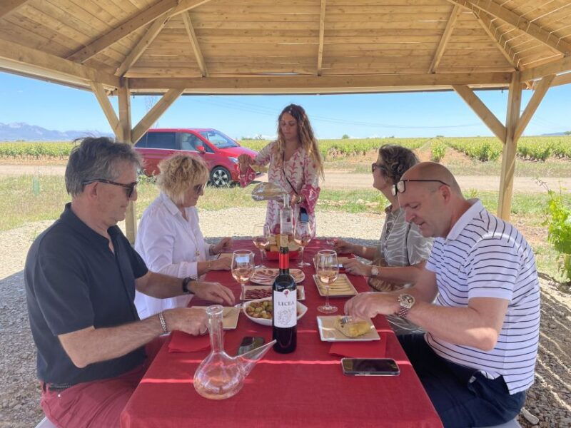 from-bilbao-two-rioja-wineries-day-trip-with-picnic-lunch
