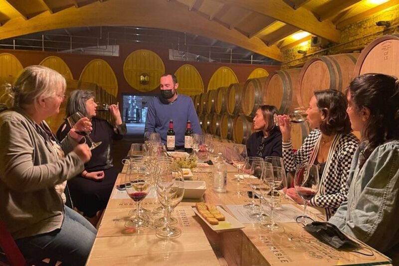 from-bilbao-two-rioja-wineries-day-trip-with-picnic-lunch