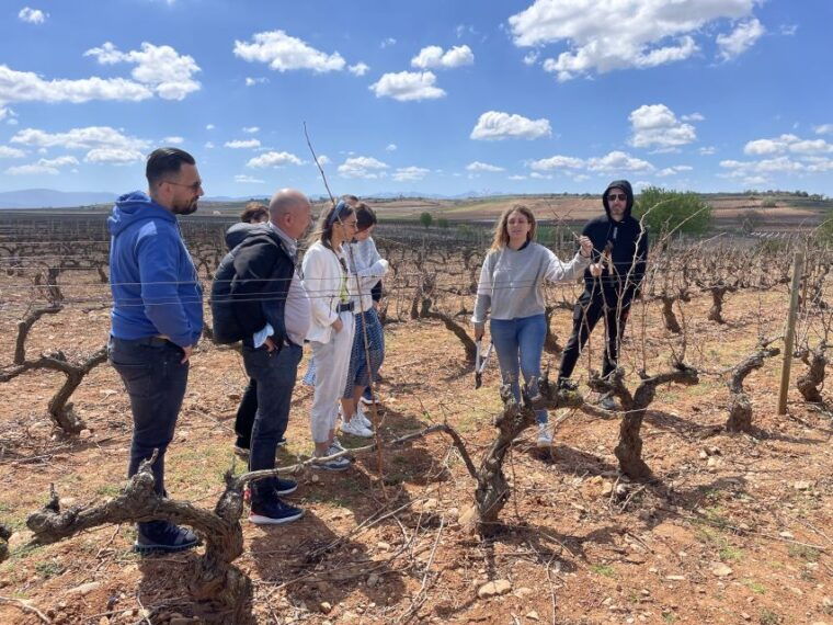 from-bilbao-two-rioja-wineries-day-trip-with-picnic-lunch