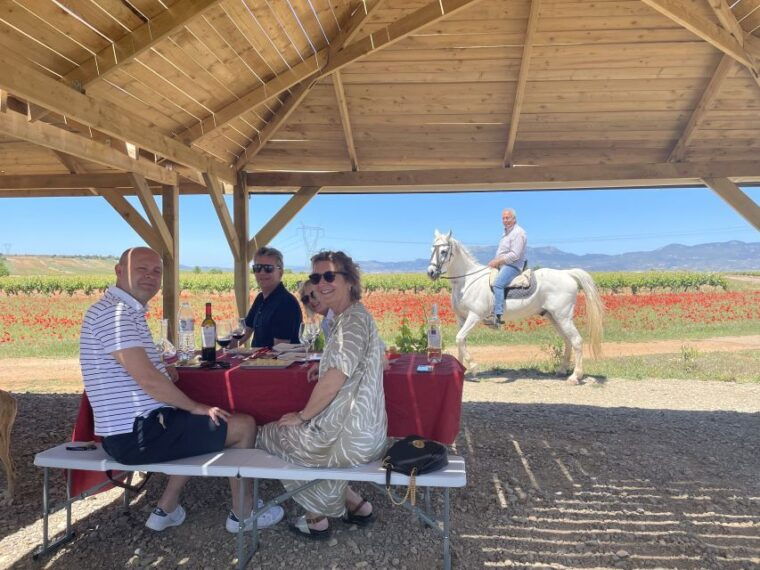 from-bilbao-two-rioja-wineries-day-trip-with-picnic-lunch