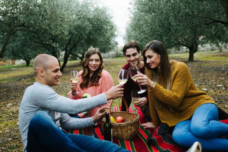 from-biograd-wine-and-olive-oil-tasting-in-raznjevica-dvori