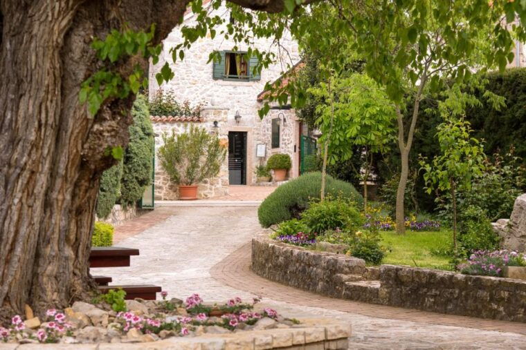 from-biograd-wine-and-olive-oil-tasting-in-raznjevica-dvori