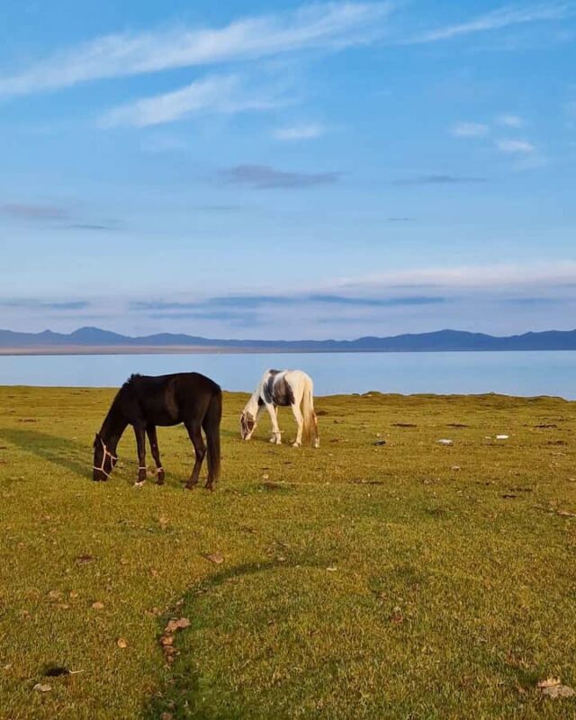 From Bishkek: 7-Day Kyrgyzstan group tour, the nomad's path - Final Thoughts