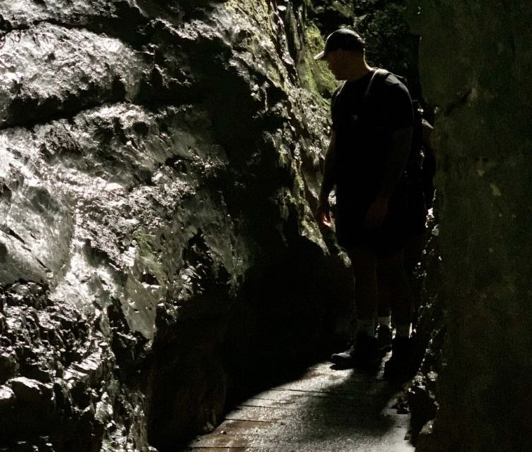 from-bled-half-day-pokljuka-gorge-trail-hike