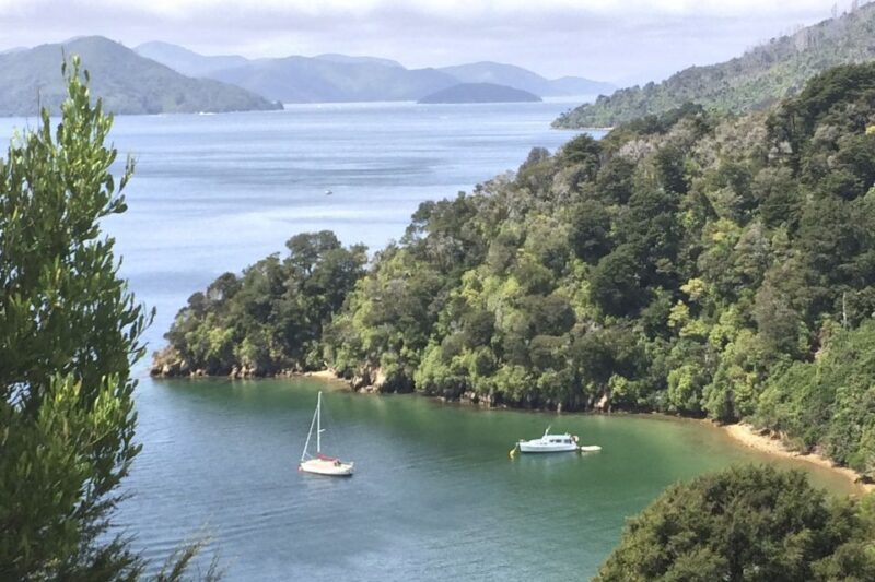 From Blenheim/Picton: Marlborough Gourmet Wine Tasting Tour - Introduction