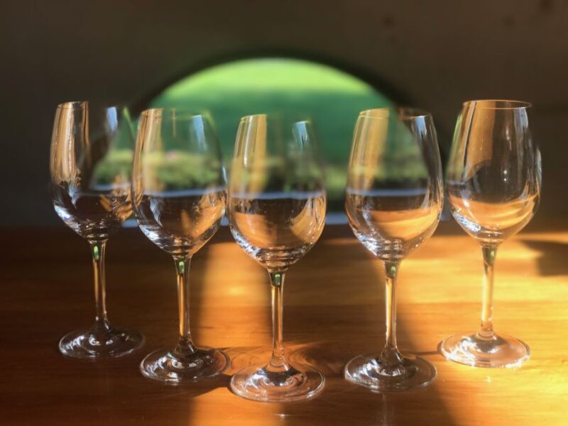 From Blenheim: Private Customizable Winery and Omaka Tour - Who Will Love This Tour?
