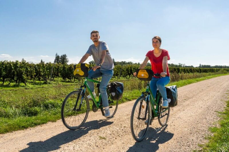 from-blois-cheverny-wine-tasting-cycling