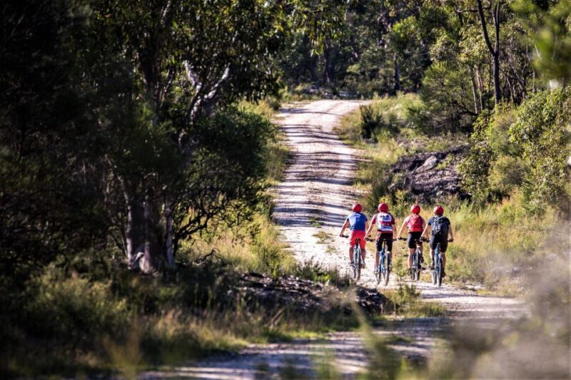 From Blue Mountains: Mountain e-Bike Ride, HANGING ROCK - Insights from Riders: Authentic Perspectives