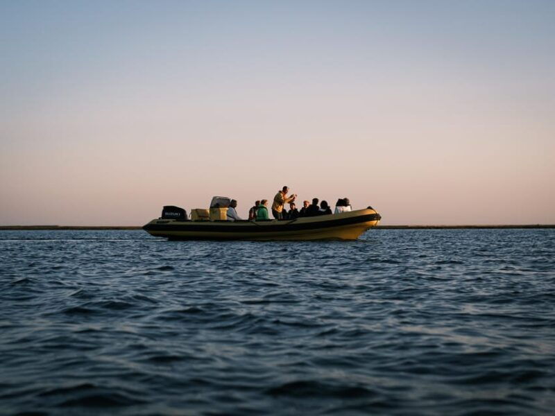 from-boat-to-table-ria-formosa-sunset-and-tasting