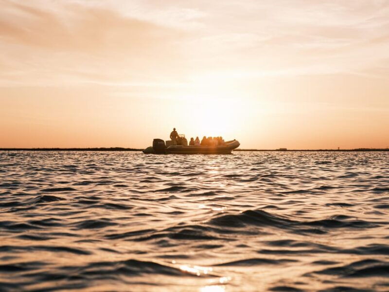 from-boat-to-table-ria-formosa-sunset-and-tasting