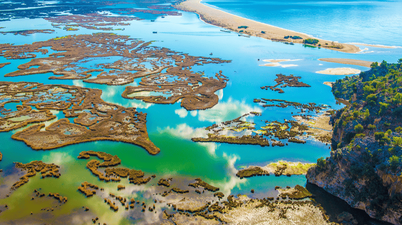 from-bodrum-dalyan-turtle-beach-and-mud-baths-day-trip