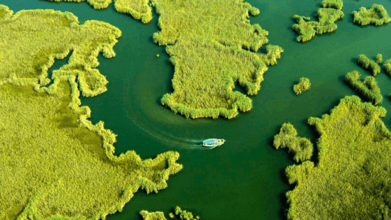 from-bodrum-dalyan-turtle-beach-and-mud-baths-day-trip