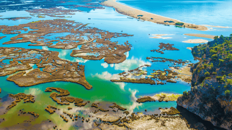 from-bodrum-dalyan-turtle-beach-and-mud-baths-day-trip