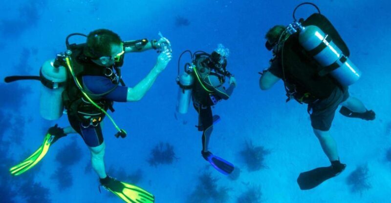 From Bodrum: Scuba Diving in the Aegean Sea - What to Expect During the Day
