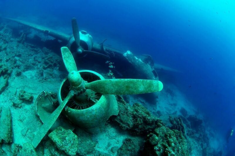 From Bodrum: Scuba Diving in the Aegean Sea - Who Will Love This Experience?