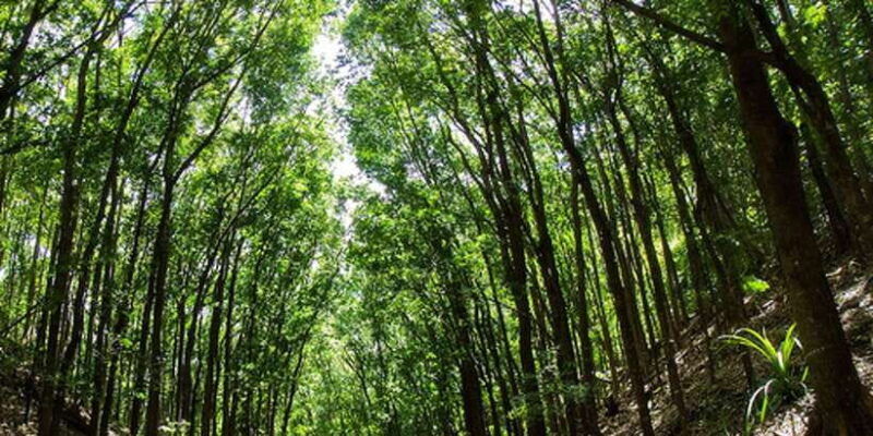 from-bohol-panglao-island-full-day-bohol-tour